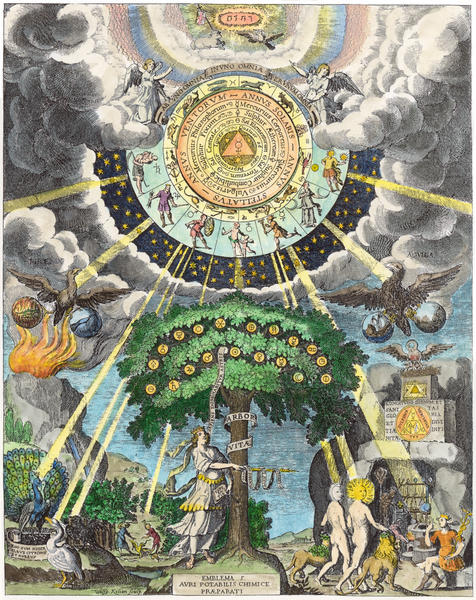 Emblema, the alchemical Tree of Life engraving, from Secret Symbols of the Rosicrucians, 1785